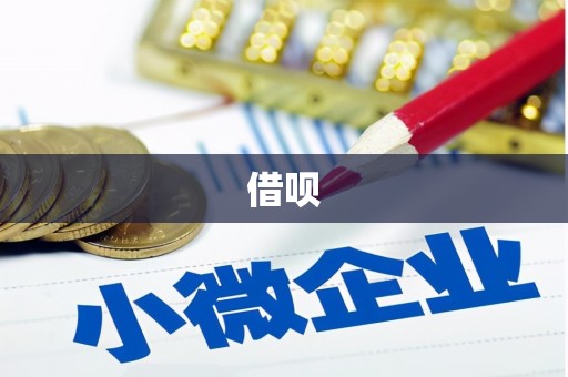 沈北新区借呗