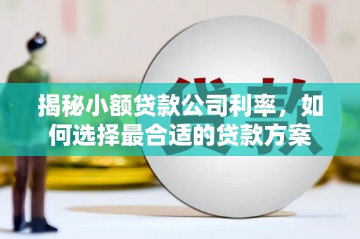 北仑揭秘小额贷款公司利率，如何选择最合适的贷款方案