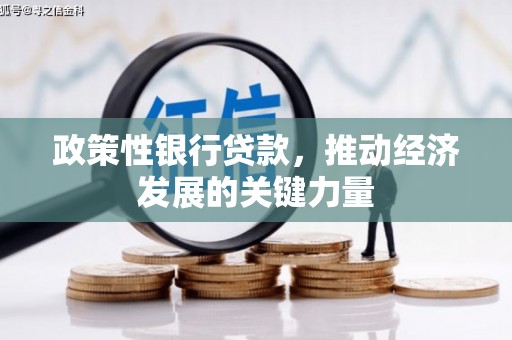 乌丘政策性银行贷款，推动经济发展的关键力量