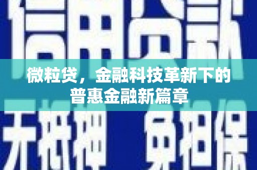 稻城微粒贷，金融科技革新下的普惠金融新篇章