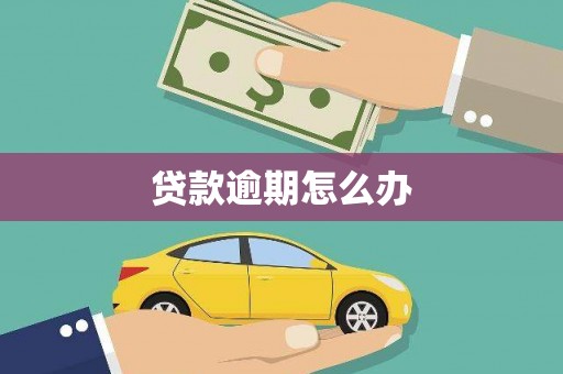 苏澳贷款逾期怎么办