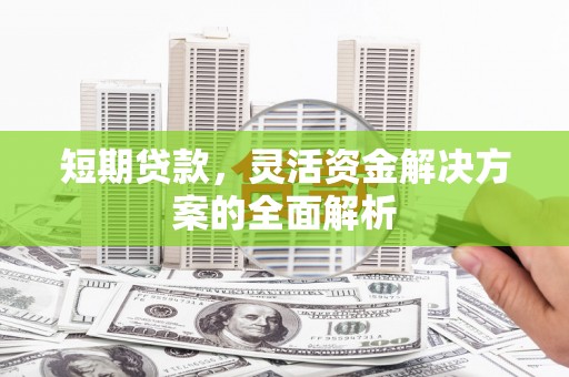 新河短期贷款，灵活资金解决方案的全面解析