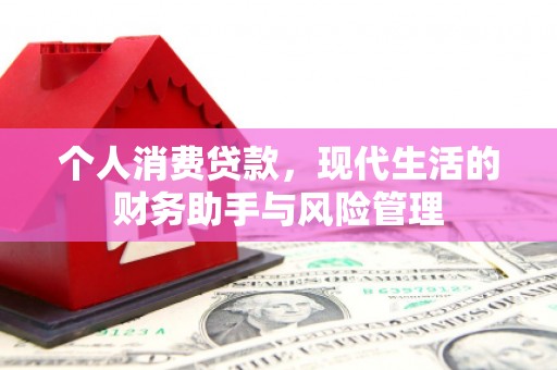 虾峙个人消费贷款，现代生活的财务助手与风险管理