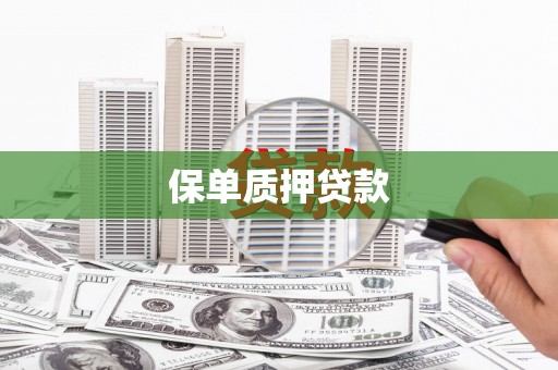 新青保单质押贷款