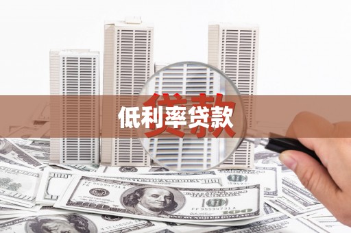 贞丰低利率贷款