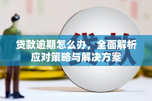 中寮贷款逾期怎么办，全面解析应对策略与解决方案
