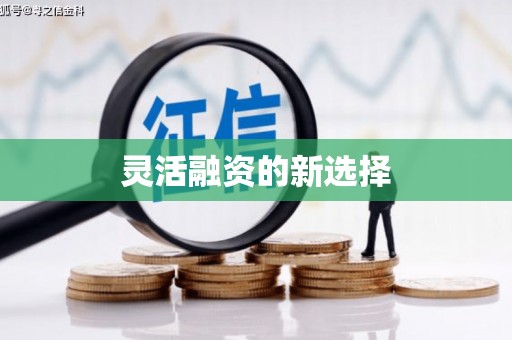龙江灵活融资的新选择
