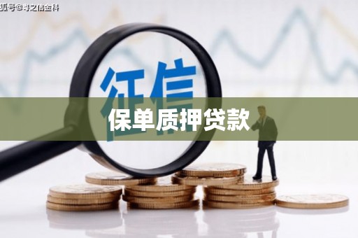 徐汇保单质押贷款