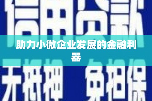 兰考助力小微企业发展的金融利器