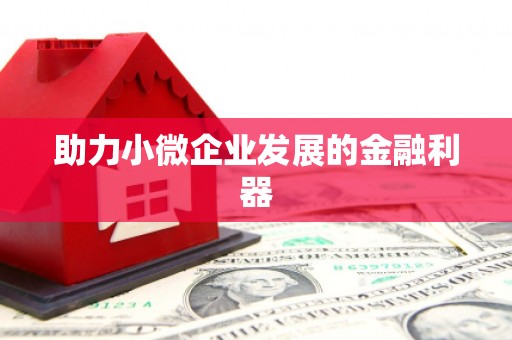 云浮助力小微企业发展的金融利器