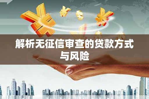 南安解析无征信审查的贷款方式与风险