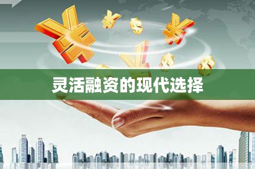 新营灵活融资的现代选择